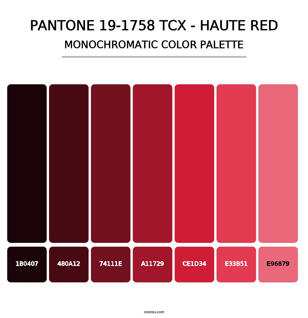 PANTONE 19-1758 TCX - Haute Red - Monochromatic Color Palette