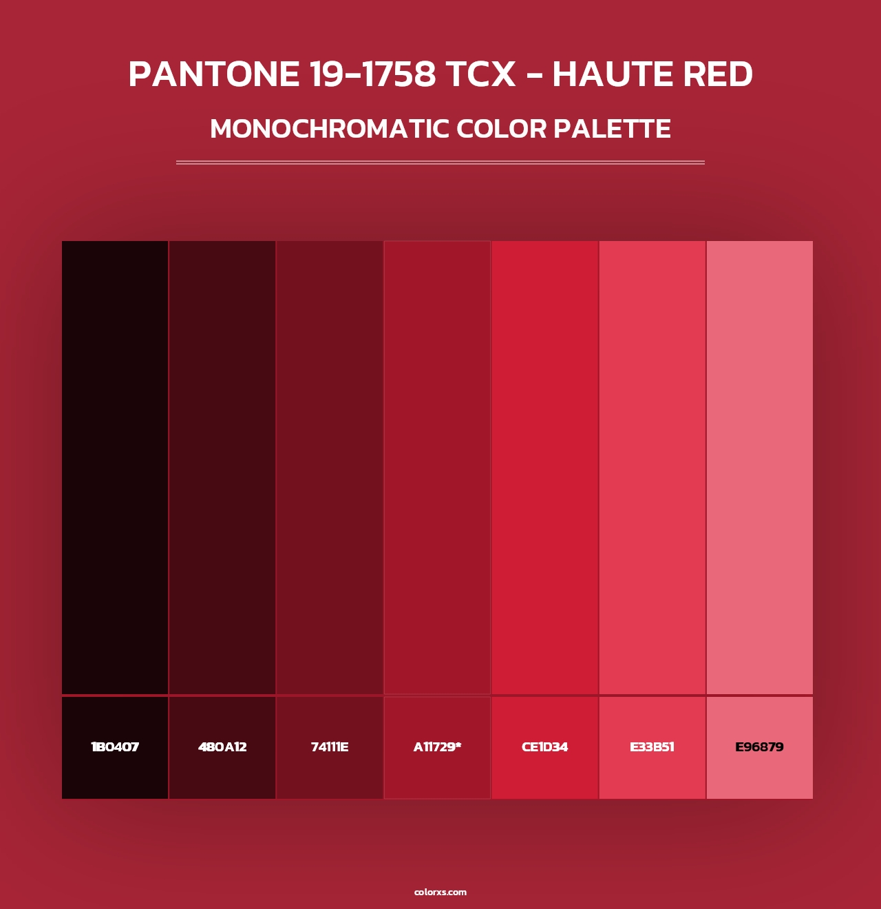 PANTONE 19-1758 TCX - Haute Red - Monochromatic Color Palette