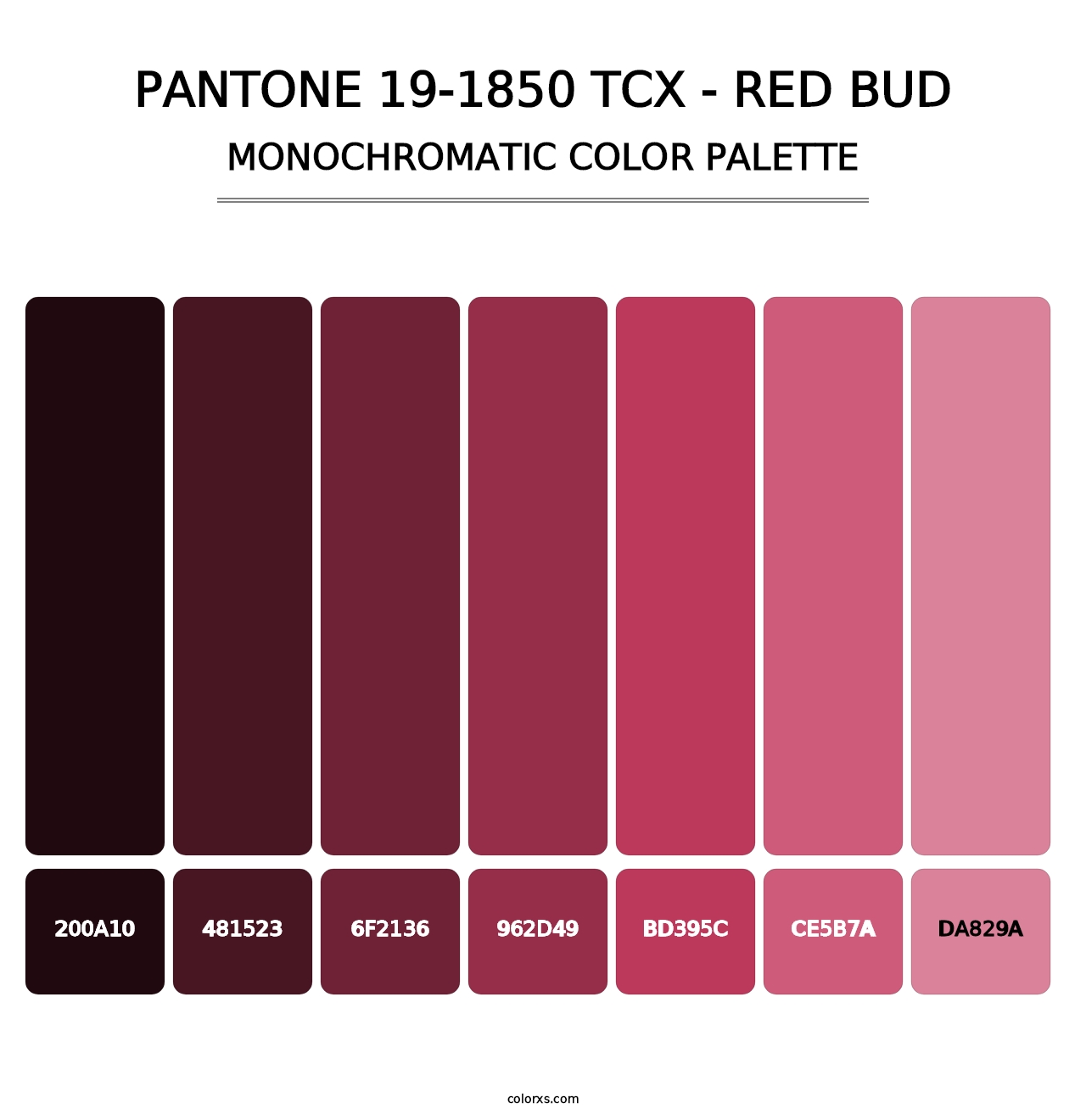 PANTONE 19-1850 TCX - Red Bud - Monochromatic Color Palette