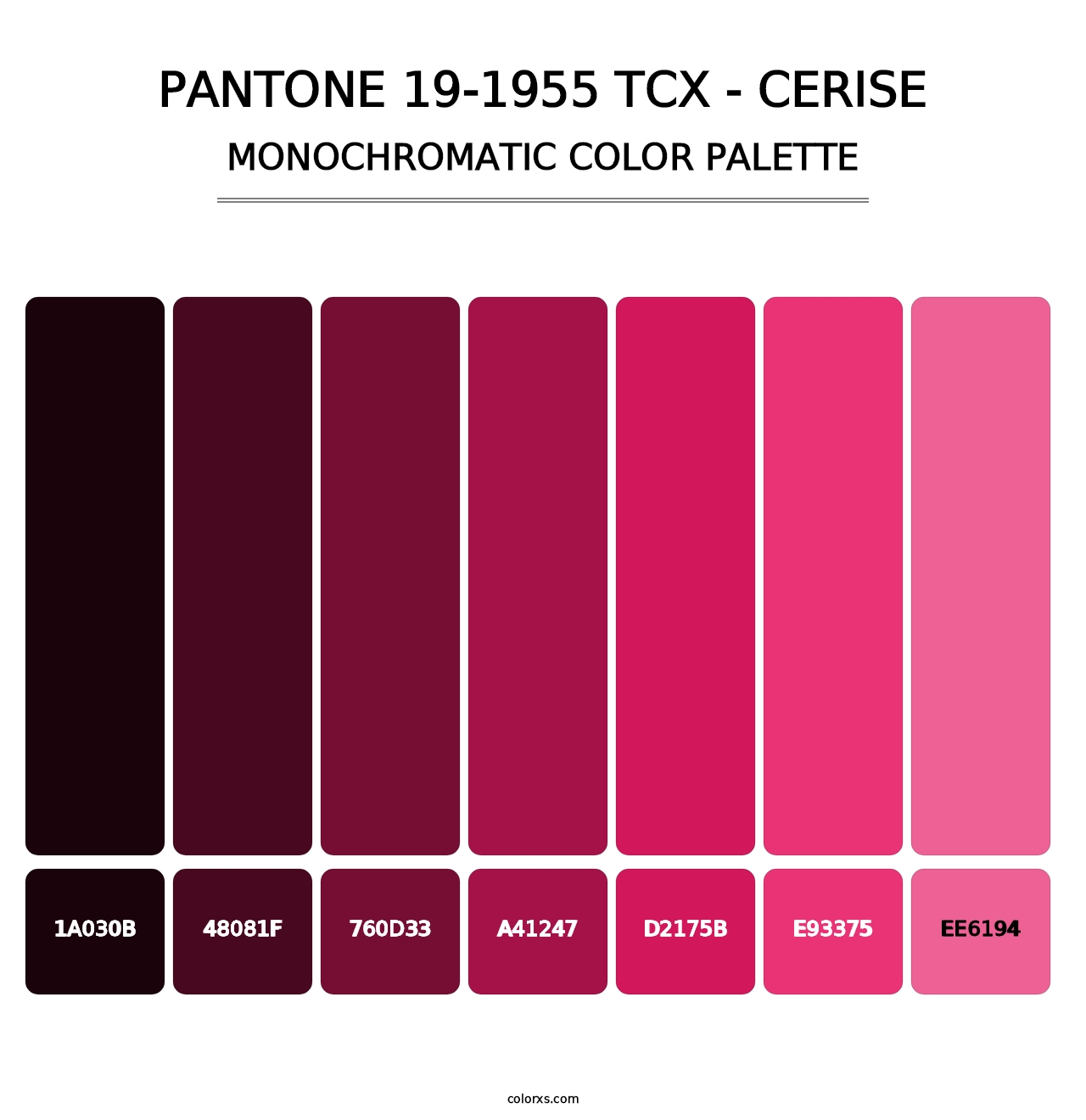 PANTONE 19-1955 TCX - Cerise - Monochromatic Color Palette