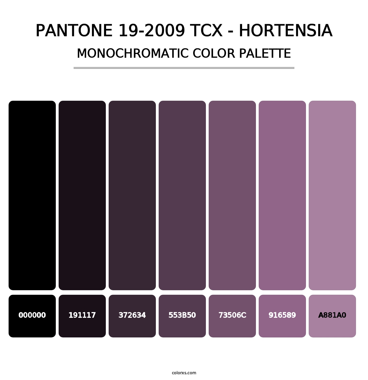 PANTONE 19-2009 TCX - Hortensia - Monochromatic Color Palette