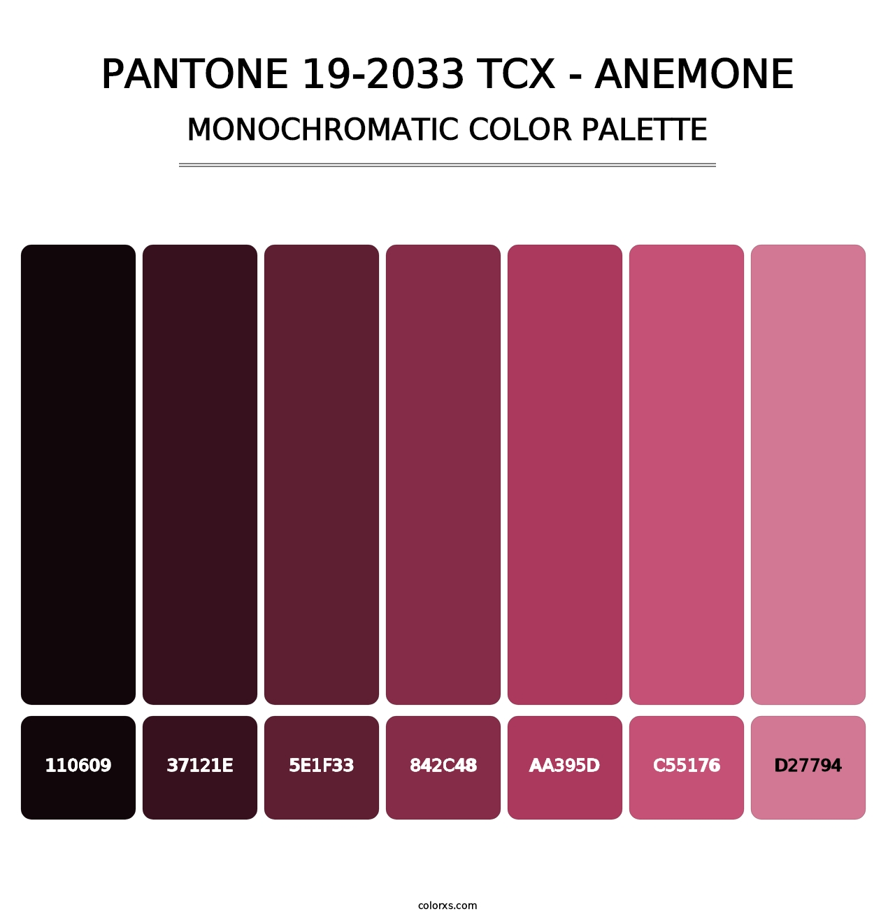 PANTONE 19-2033 TCX - Anemone - Monochromatic Color Palette