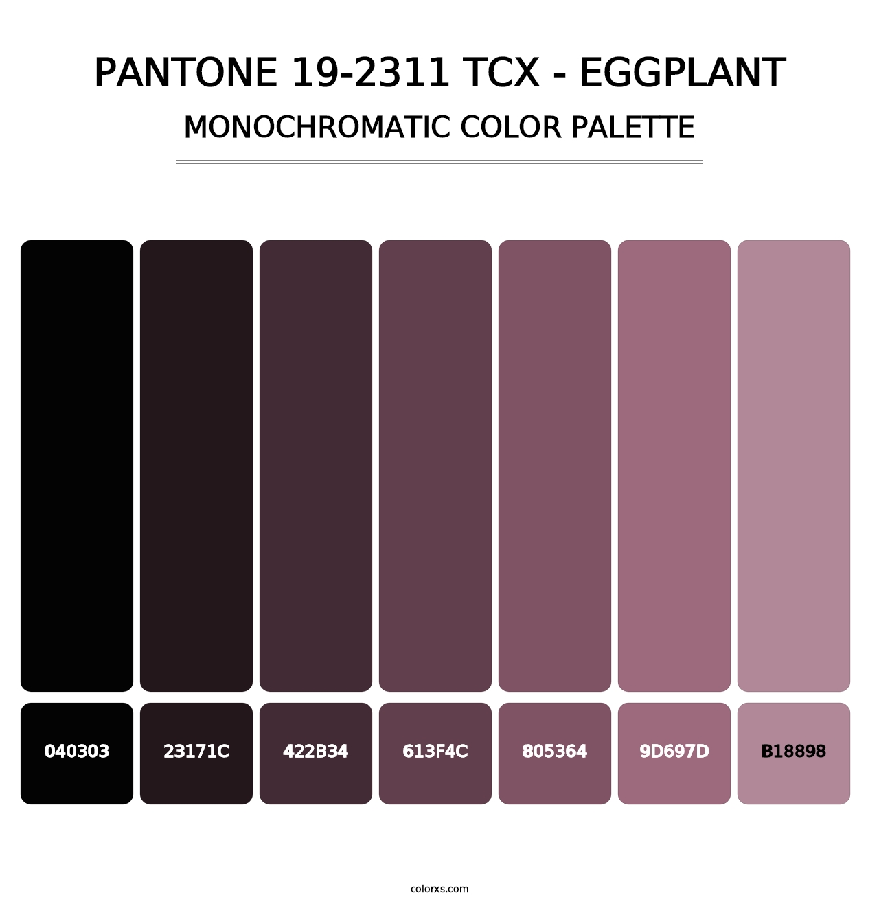 PANTONE 19-2311 TCX - Eggplant - Monochromatic Color Palette