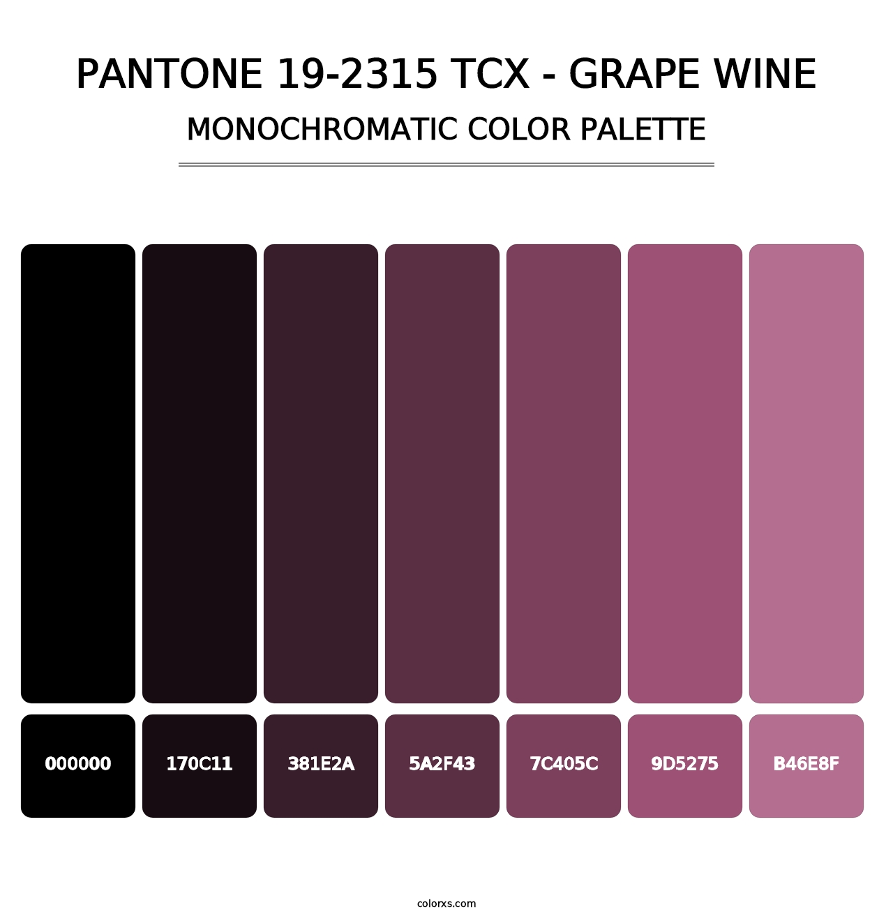 PANTONE 19-2315 TCX - Grape Wine - Monochromatic Color Palette