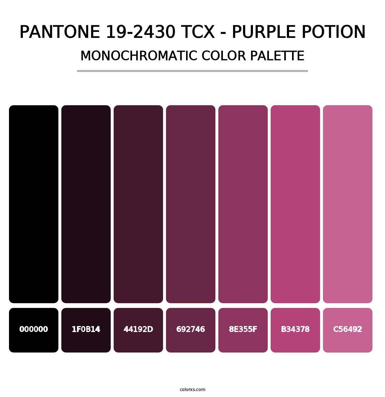 PANTONE 19-2430 TCX - Purple Potion - Monochromatic Color Palette