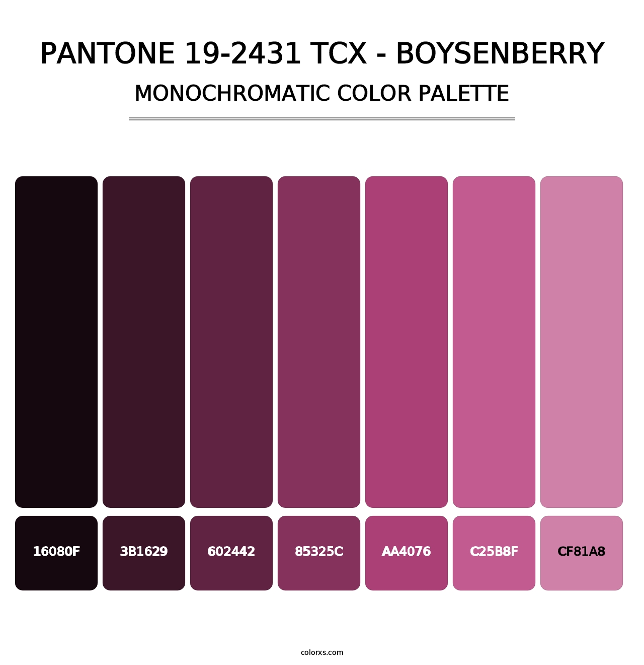 PANTONE 19-2431 TCX - Boysenberry - Monochromatic Color Palette