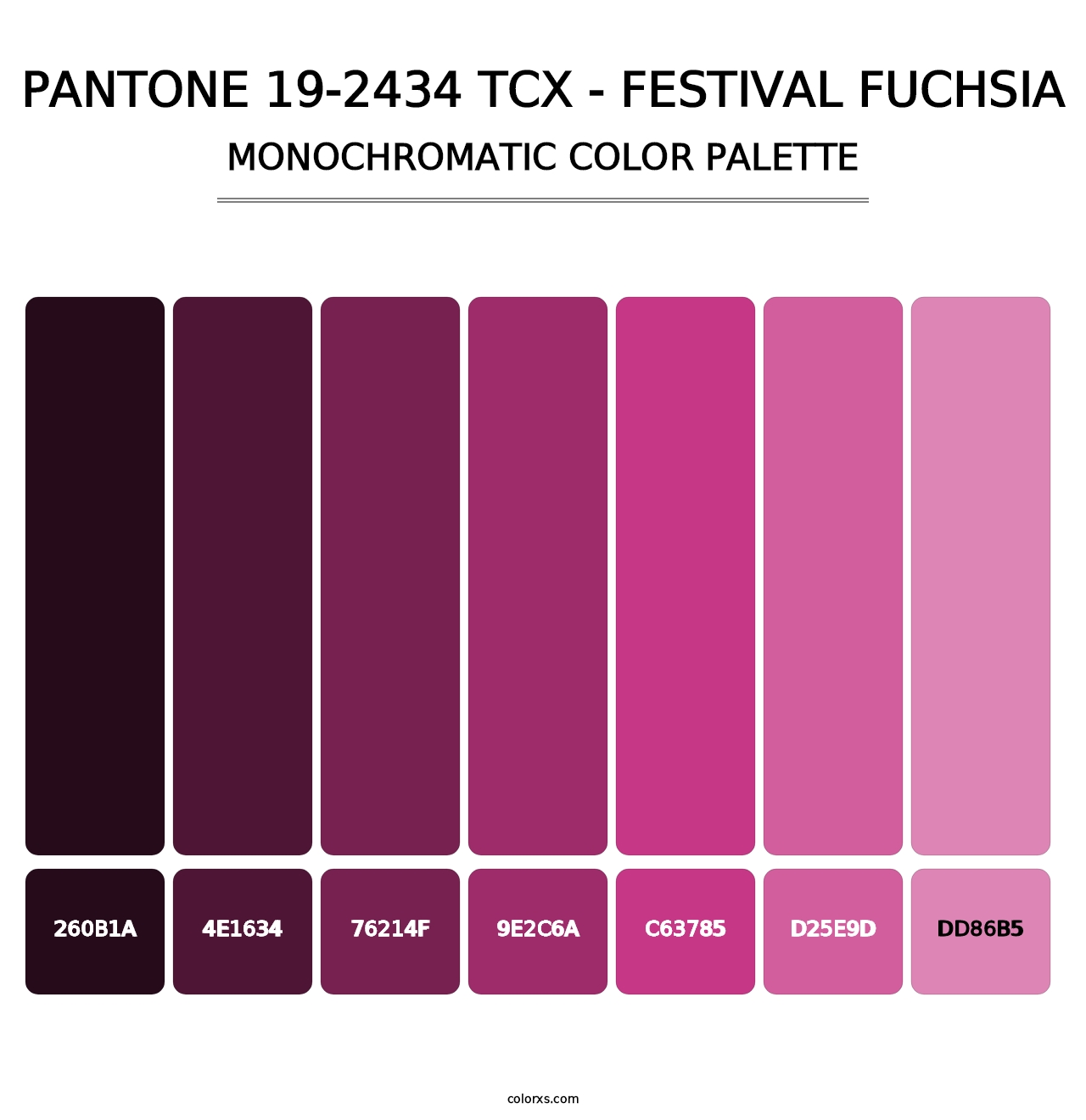PANTONE 19-2434 TCX - Festival Fuchsia - Monochromatic Color Palette