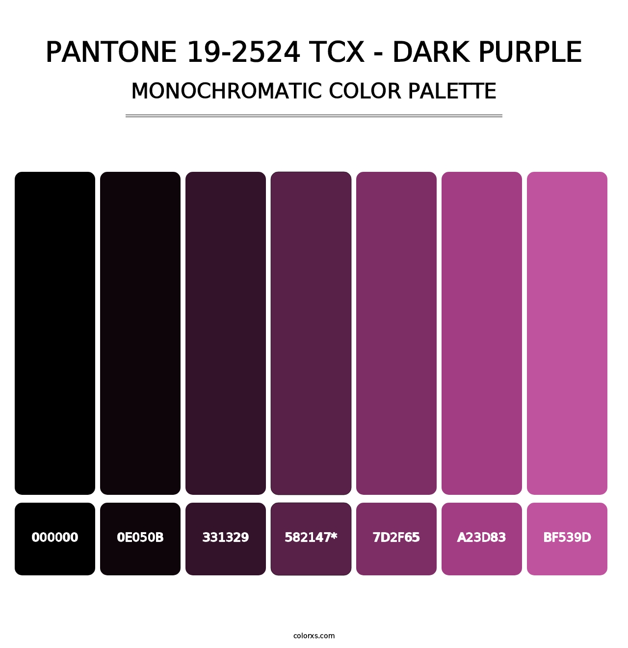 PANTONE 19-2524 TCX - Dark Purple - Monochromatic Color Palette