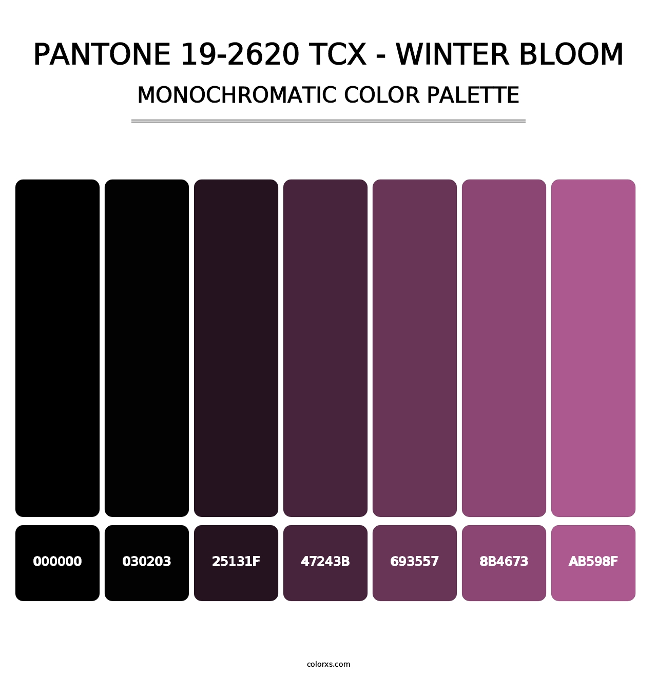 PANTONE 19-2620 TCX - Winter Bloom - Monochromatic Color Palette