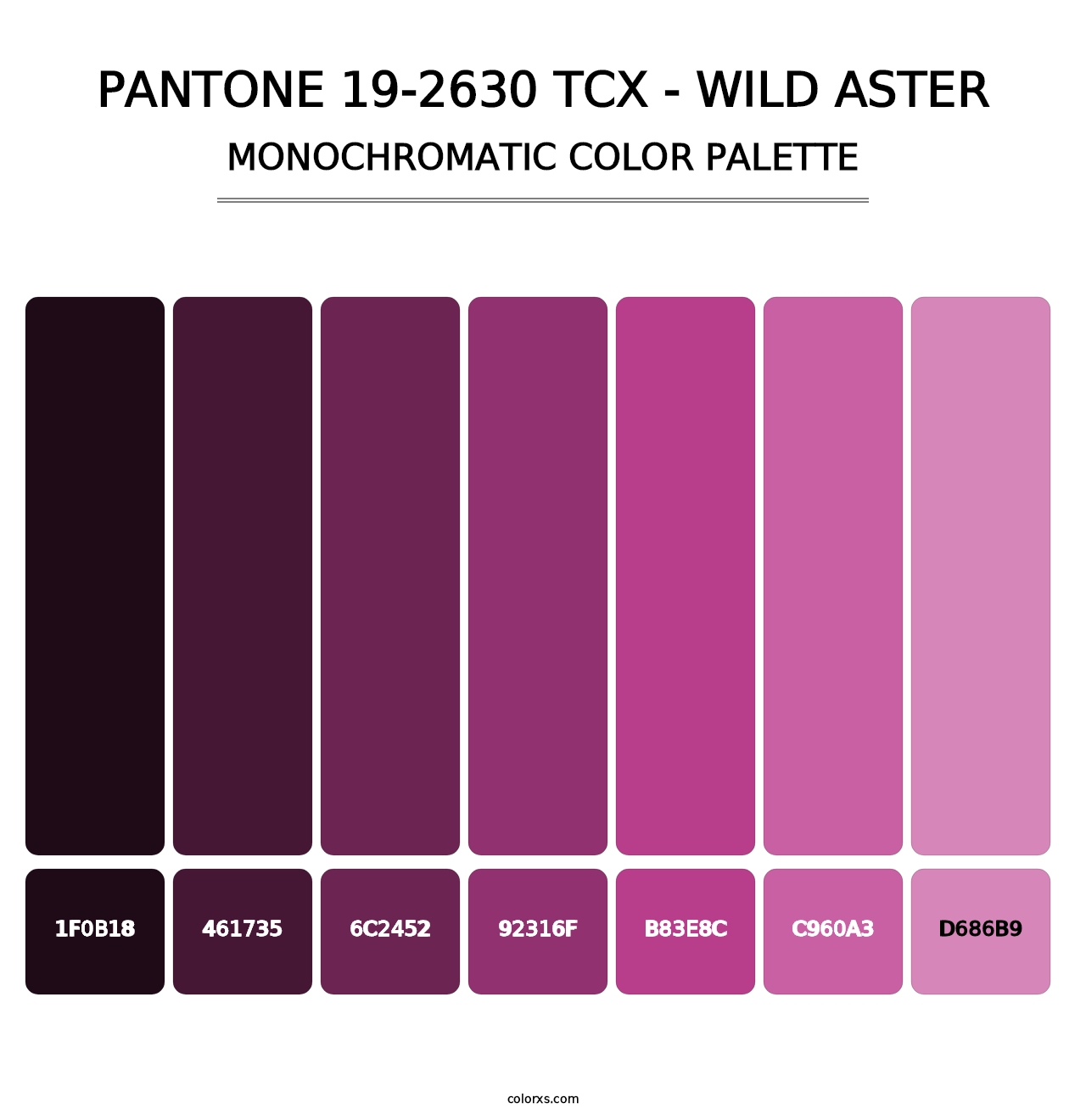 PANTONE 19-2630 TCX - Wild Aster - Monochromatic Color Palette