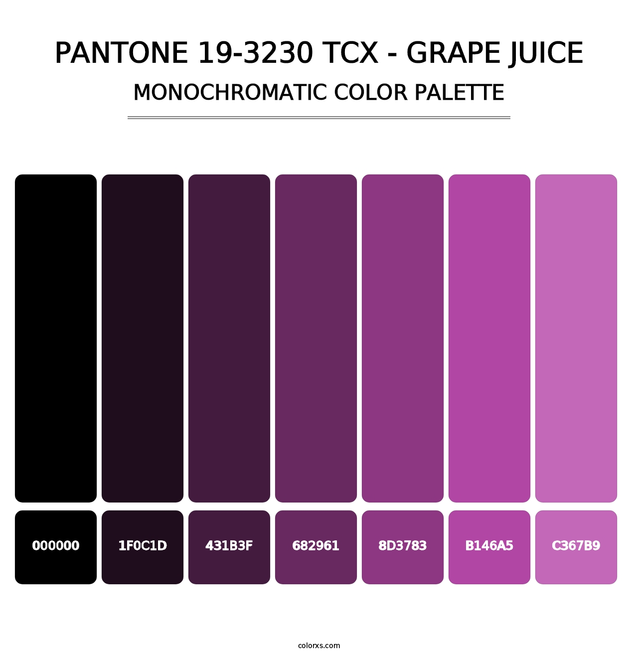 PANTONE 19-3230 TCX - Grape Juice - Monochromatic Color Palette