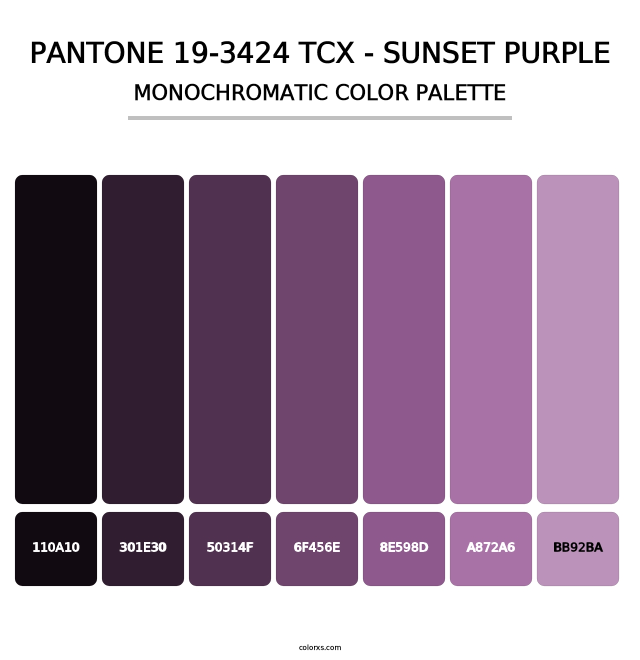 PANTONE 19-3424 TCX - Sunset Purple - Monochromatic Color Palette