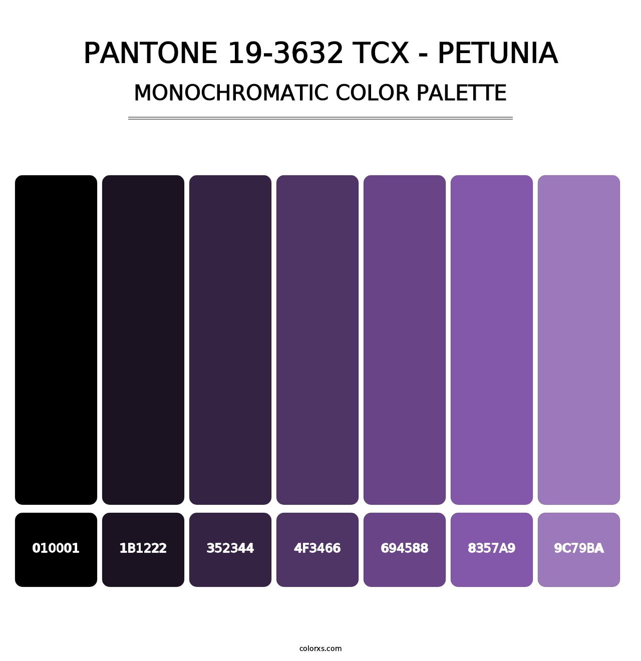 PANTONE 19-3632 TCX - Petunia - Monochromatic Color Palette