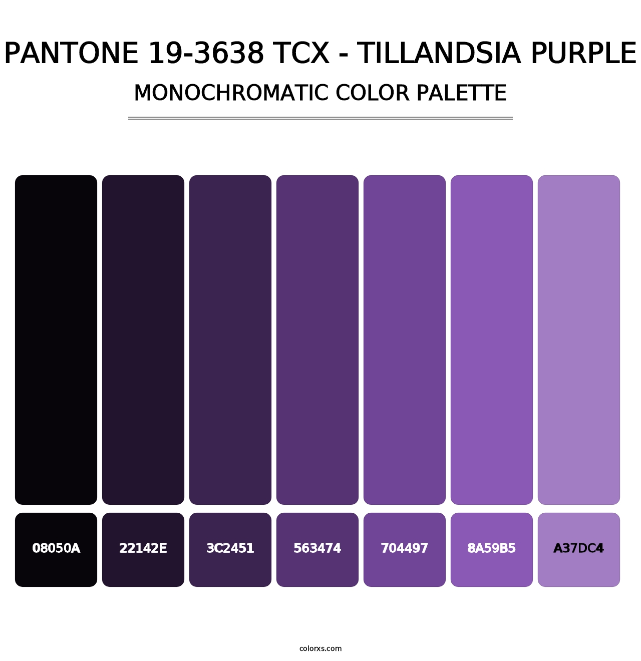 PANTONE 19-3638 TCX - Tillandsia Purple - Monochromatic Color Palette
