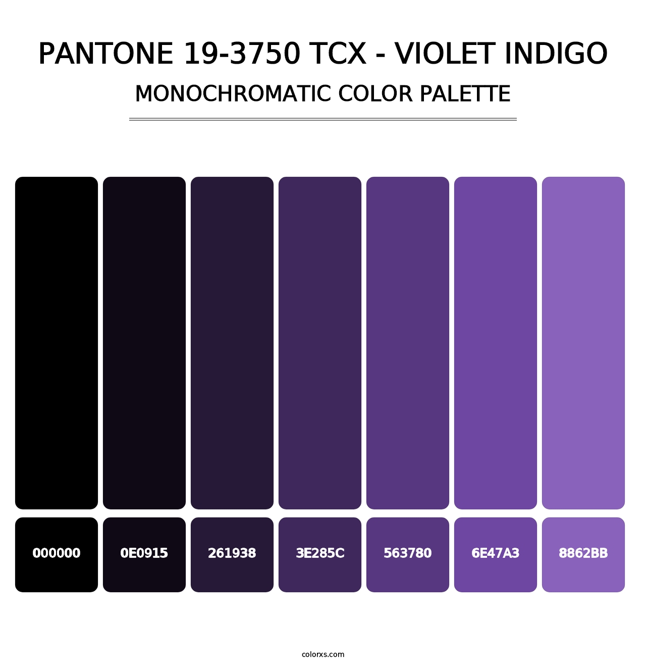 PANTONE 19-3750 TCX - Violet Indigo - Monochromatic Color Palette