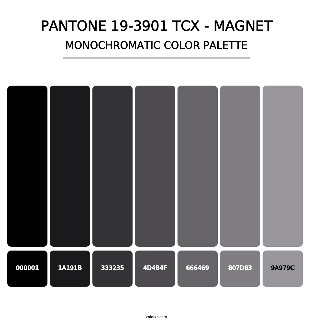 PANTONE 19-3901 TCX - Magnet - Monochromatic Color Palette