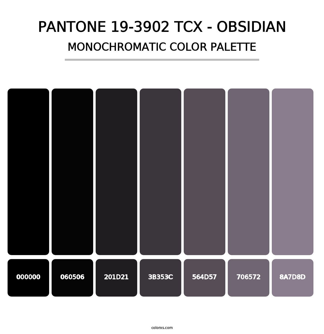 PANTONE 19-3902 TCX - Obsidian - Monochromatic Color Palette