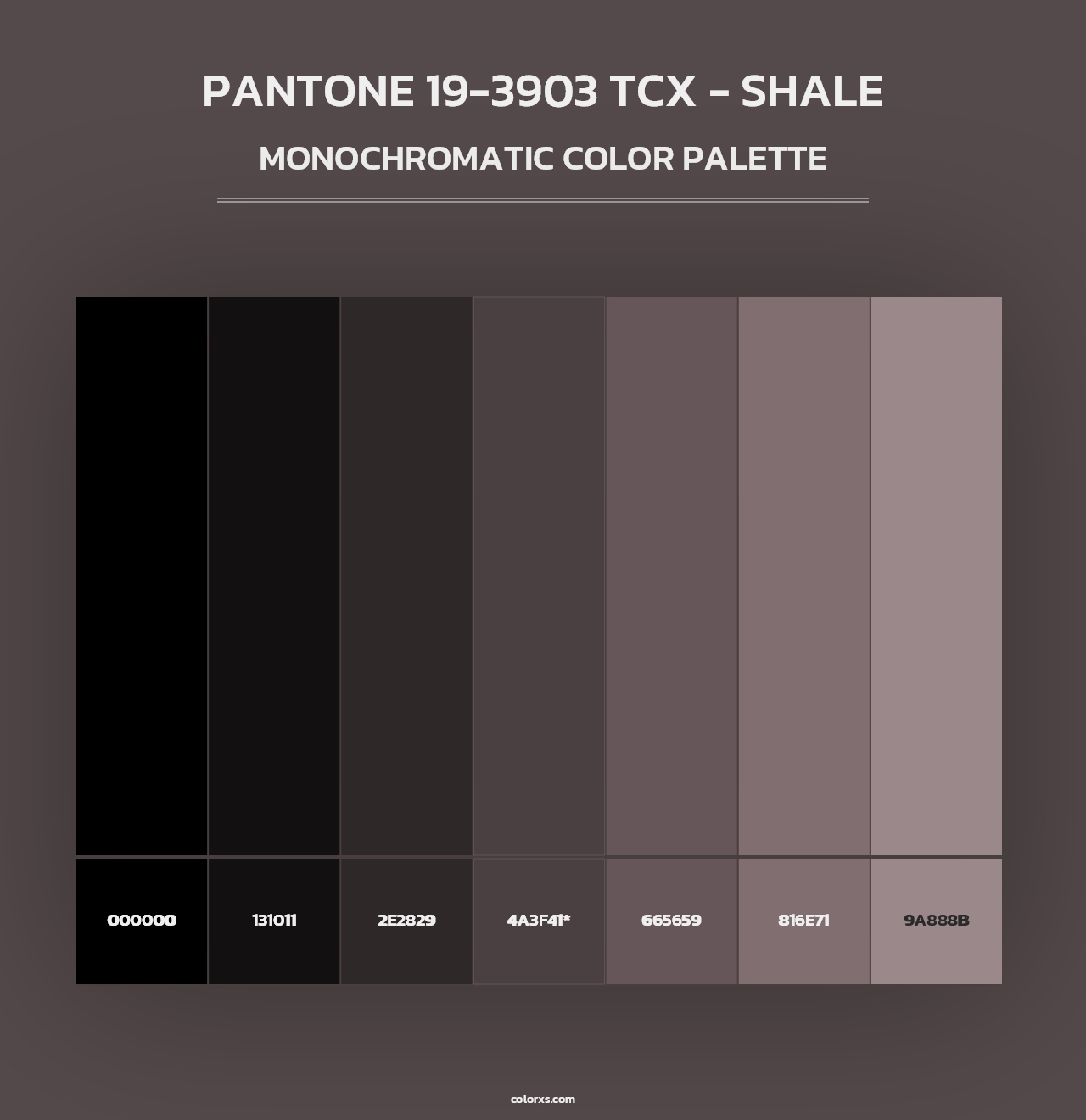 PANTONE 19-3903 TCX - Shale - Monochromatic Color Palette