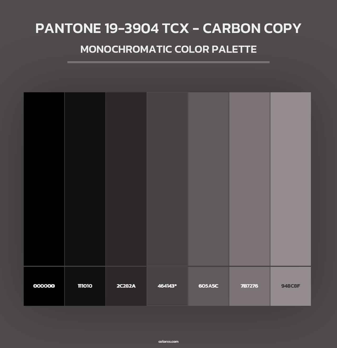 PANTONE 19-3904 TCX - Carbon Copy - Monochromatic Color Palette