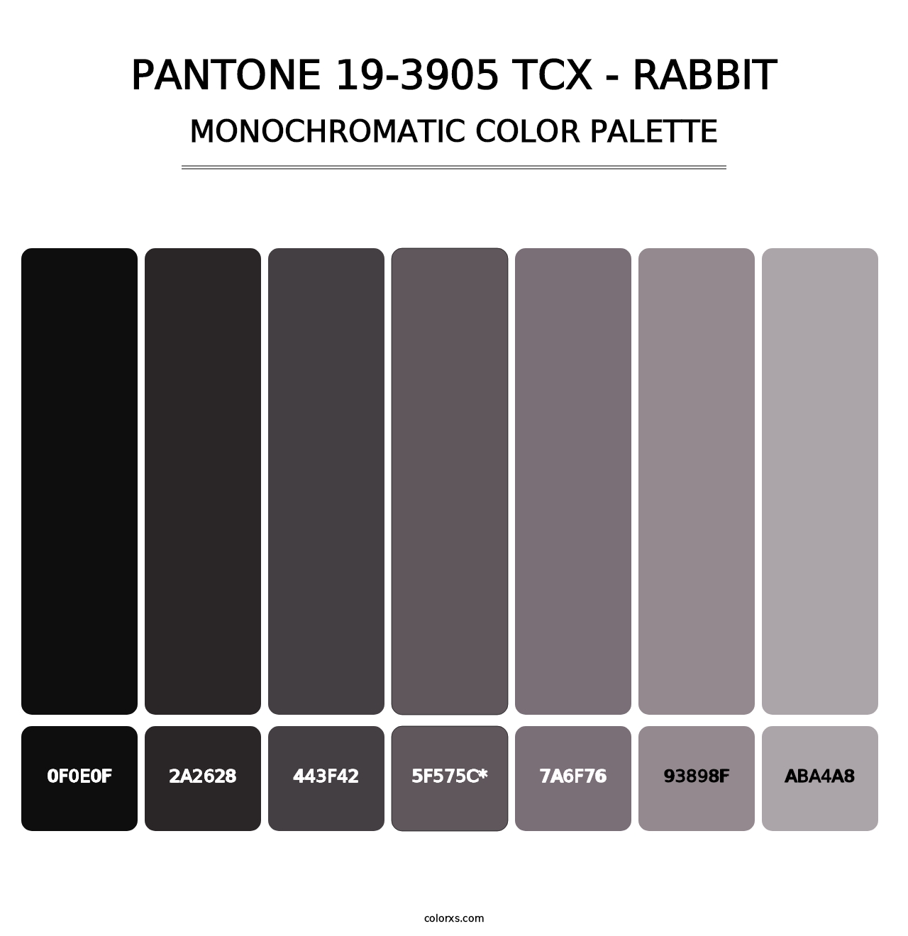 PANTONE 19-3905 TCX - Rabbit - Monochromatic Color Palette
