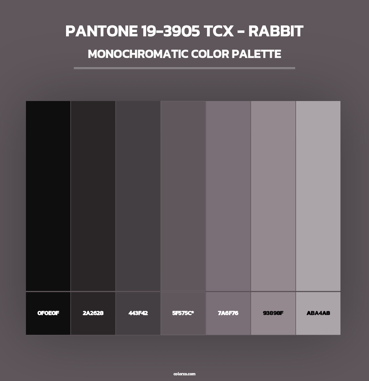 PANTONE 19-3905 TCX - Rabbit - Monochromatic Color Palette