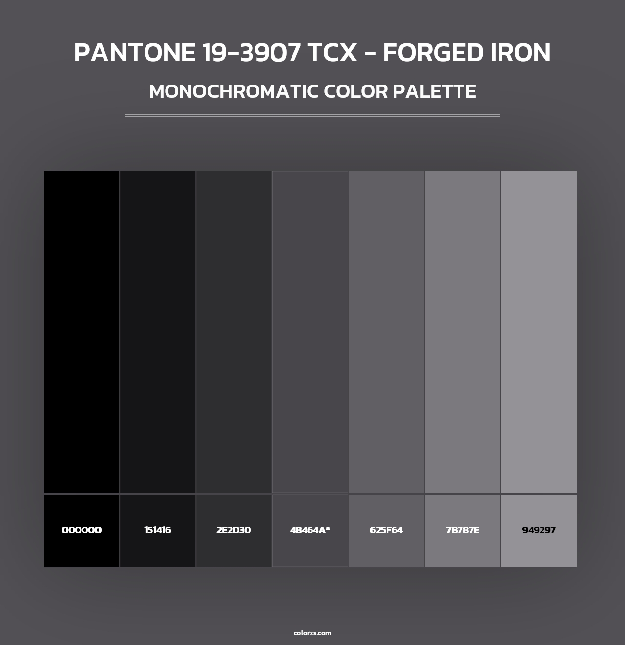 PANTONE 19-3907 TCX - Forged Iron - Monochromatic Color Palette