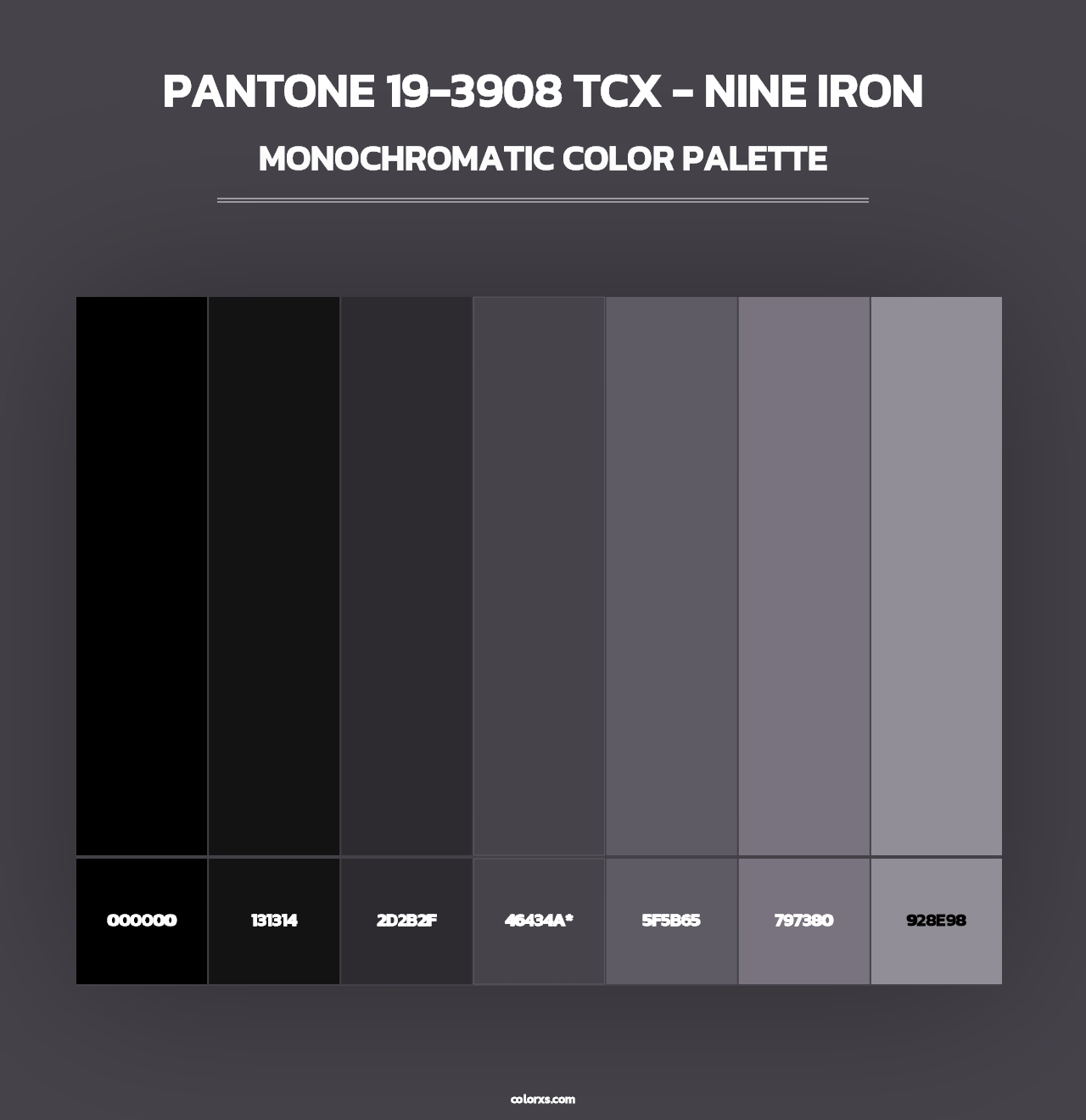 PANTONE 19-3908 TCX - Nine Iron - Monochromatic Color Palette