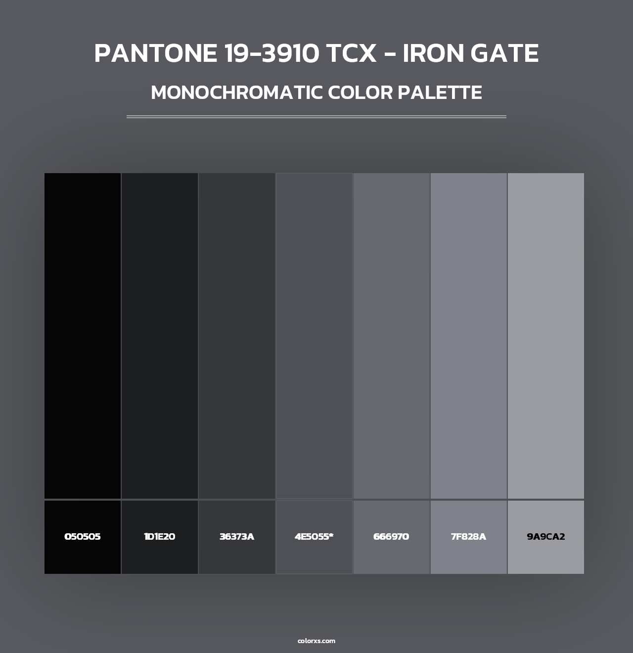 PANTONE 193910 TCX Iron Gate color palettes