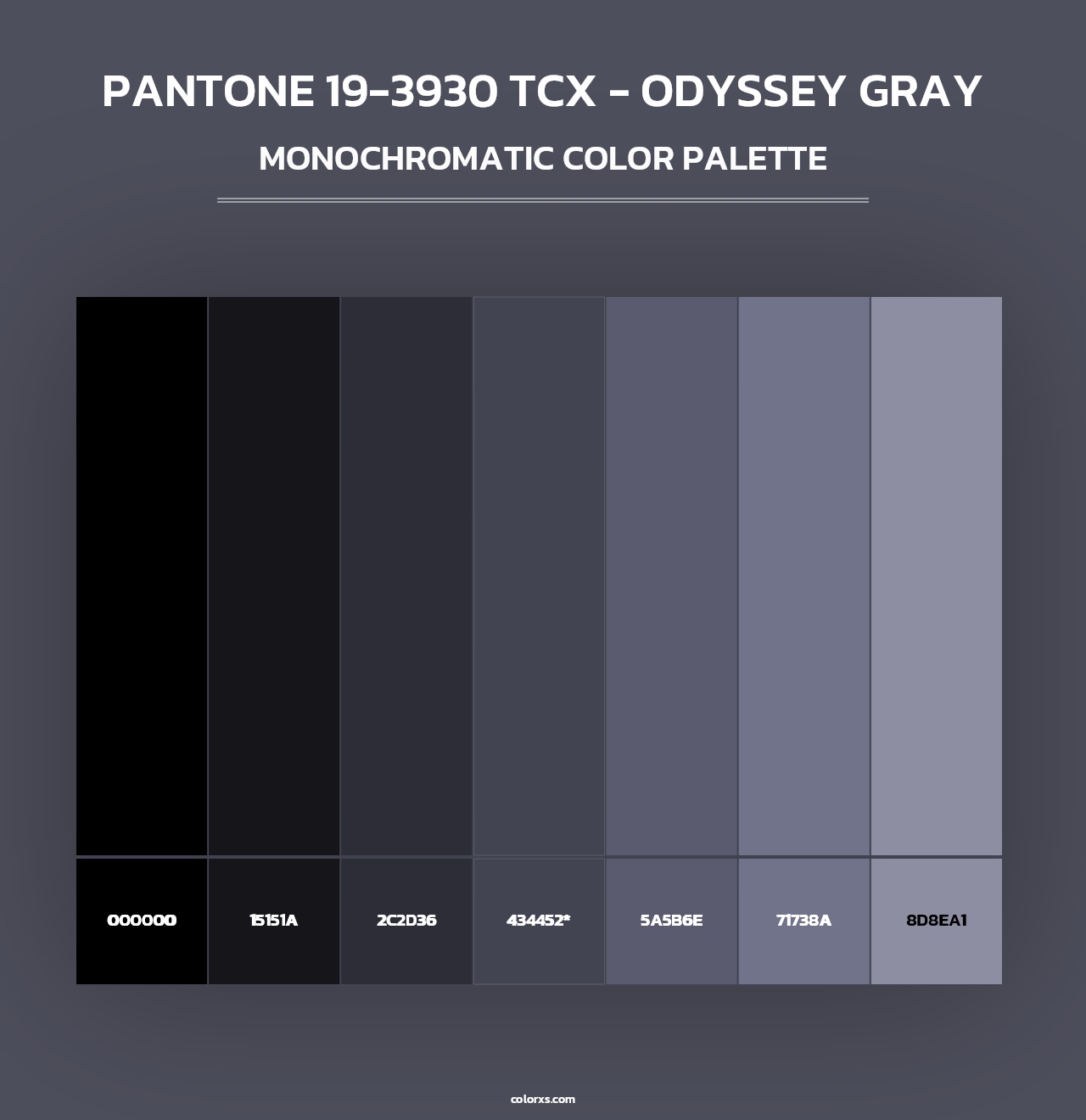 PANTONE 19-3930 TCX - Odyssey Gray - Monochromatic Color Palette