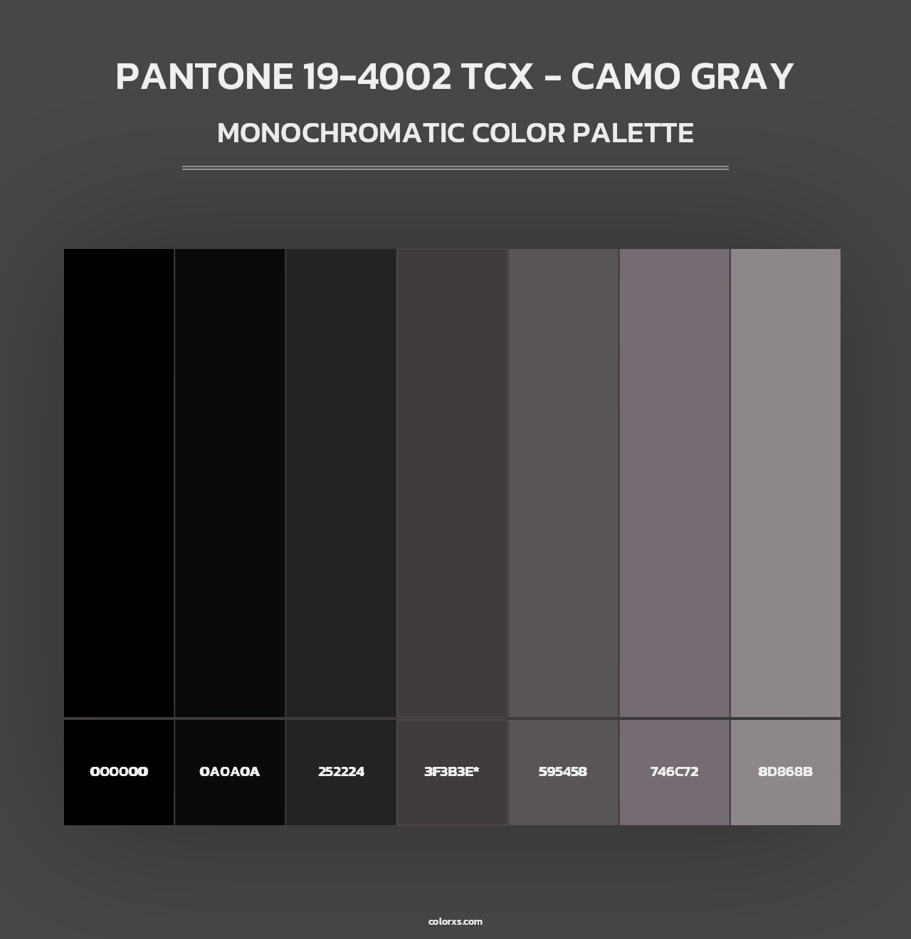PANTONE 19-4002 TCX - Camo Gray - Monochromatic Color Palette