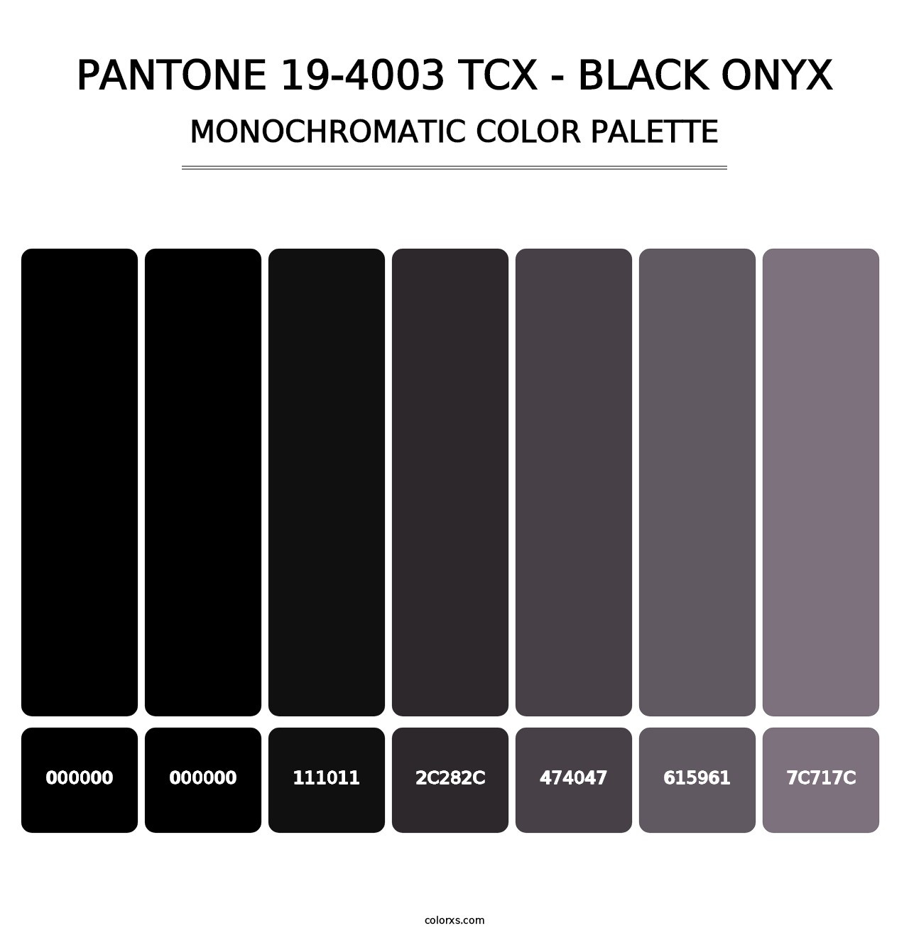 PANTONE 19-4003 TCX - Black Onyx - Monochromatic Color Palette