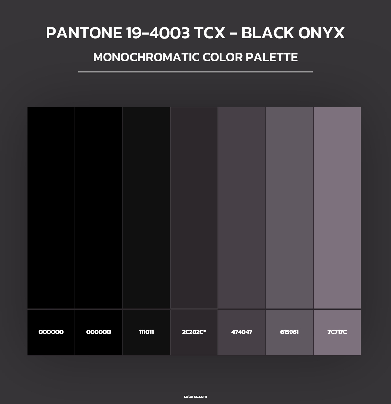 PANTONE 19-4003 TCX - Black Onyx - Monochromatic Color Palette