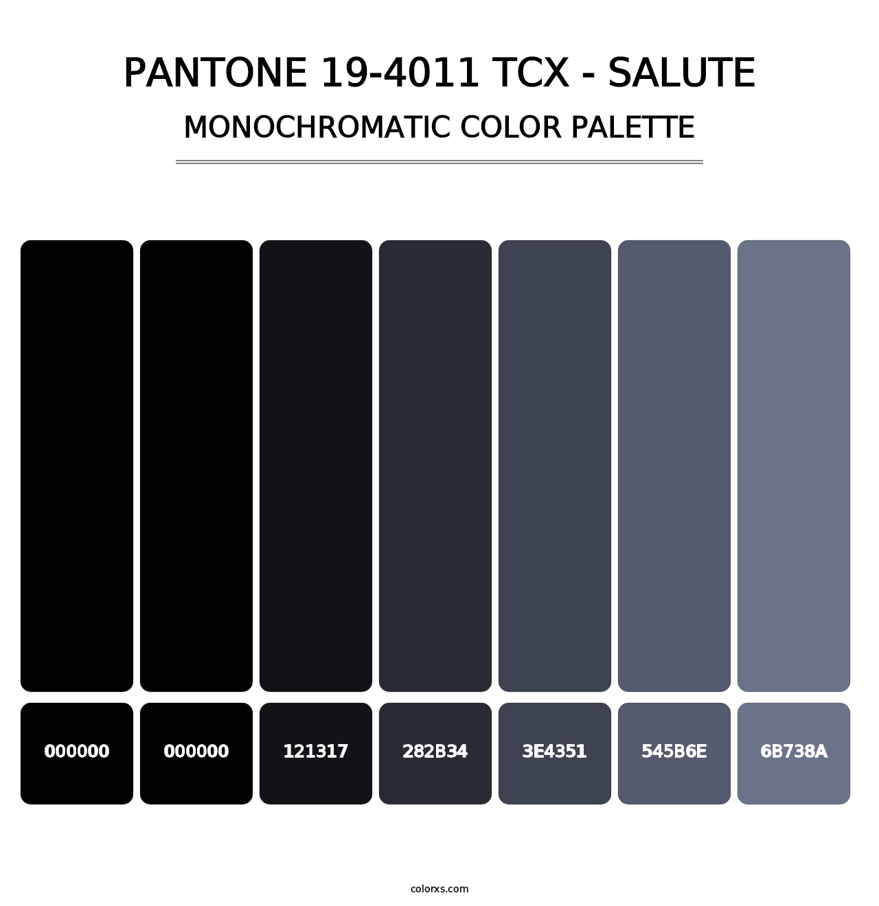 PANTONE 19-4011 TCX - Salute - Monochromatic Color Palette
