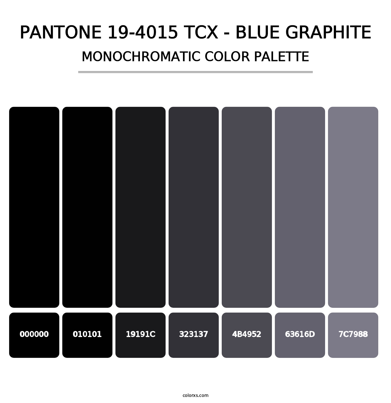 PANTONE 19-4015 TCX - Blue Graphite - Monochromatic Color Palette