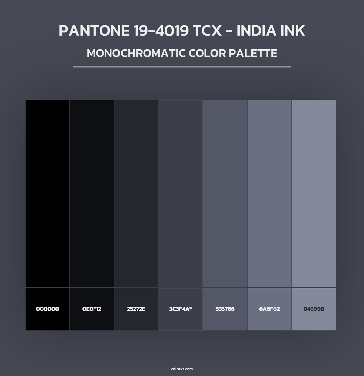 PANTONE 19-4019 TCX - India Ink - Monochromatic Color Palette