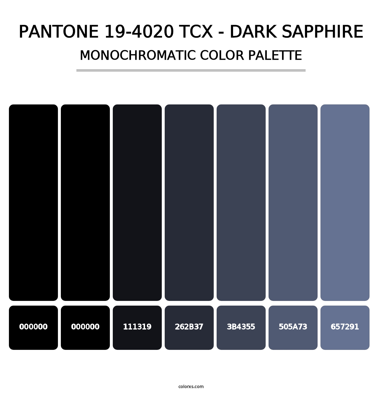 PANTONE 19-4020 TCX - Dark Sapphire - Monochromatic Color Palette