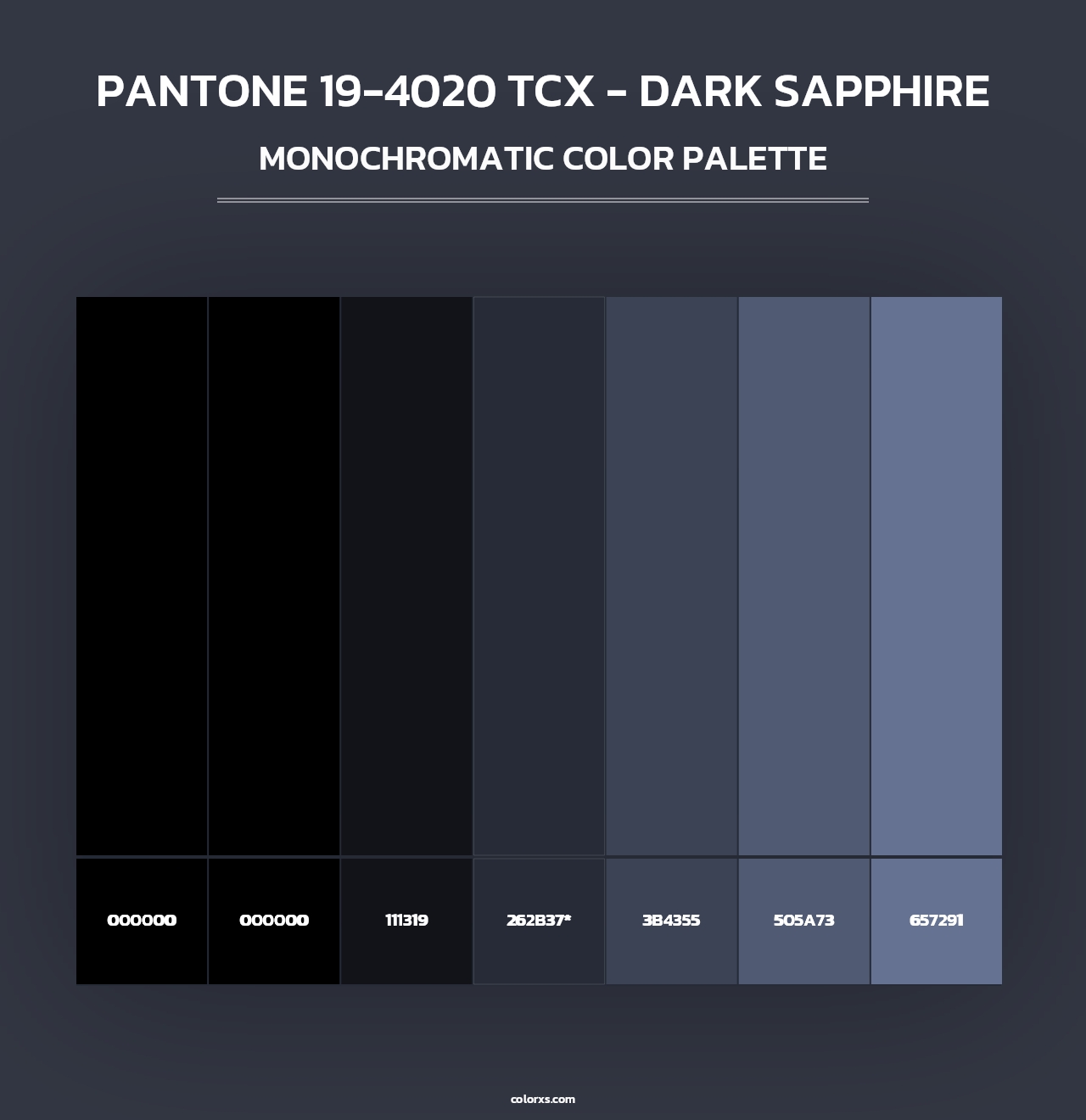 PANTONE 19-4020 TCX - Dark Sapphire - Monochromatic Color Palette