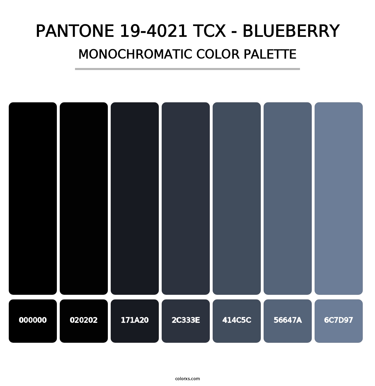 PANTONE 19-4021 TCX - Blueberry - Monochromatic Color Palette