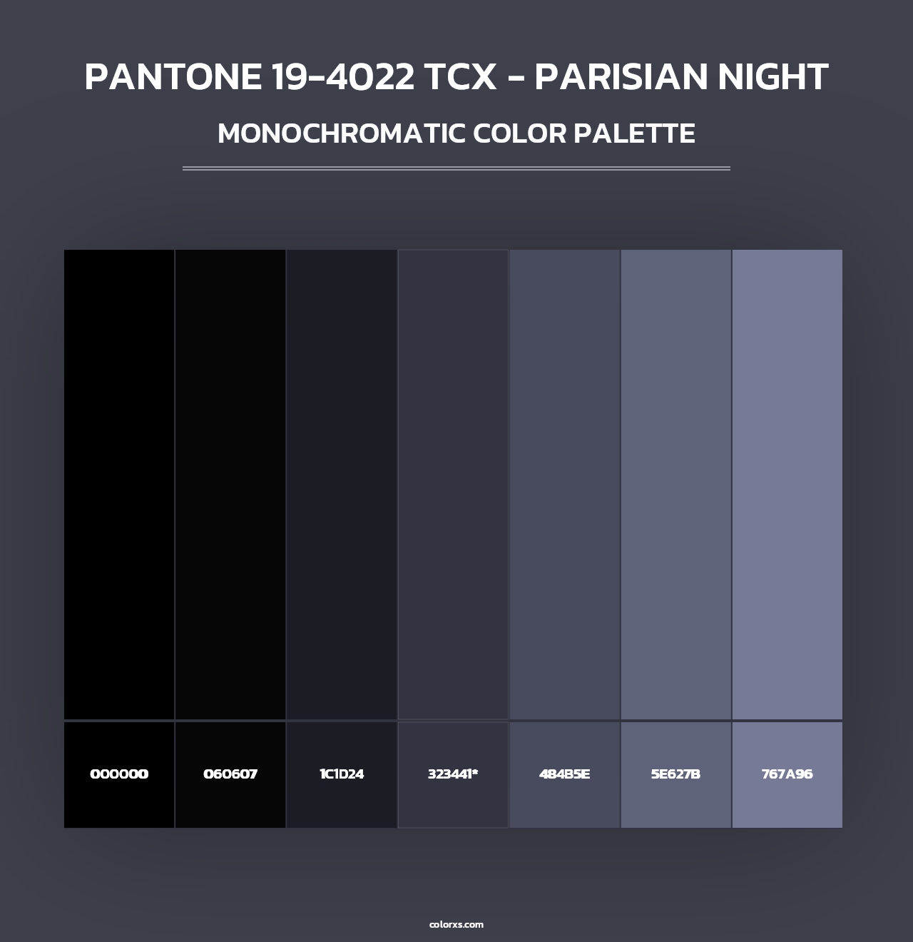 PANTONE 19-4022 TCX - Parisian Night - Monochromatic Color Palette