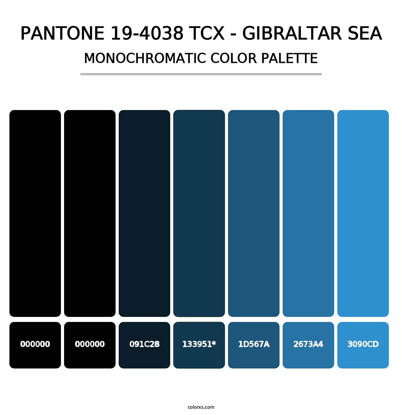 PANTONE 19-4038 TCX - Gibraltar Sea - Monochromatic Color Palette