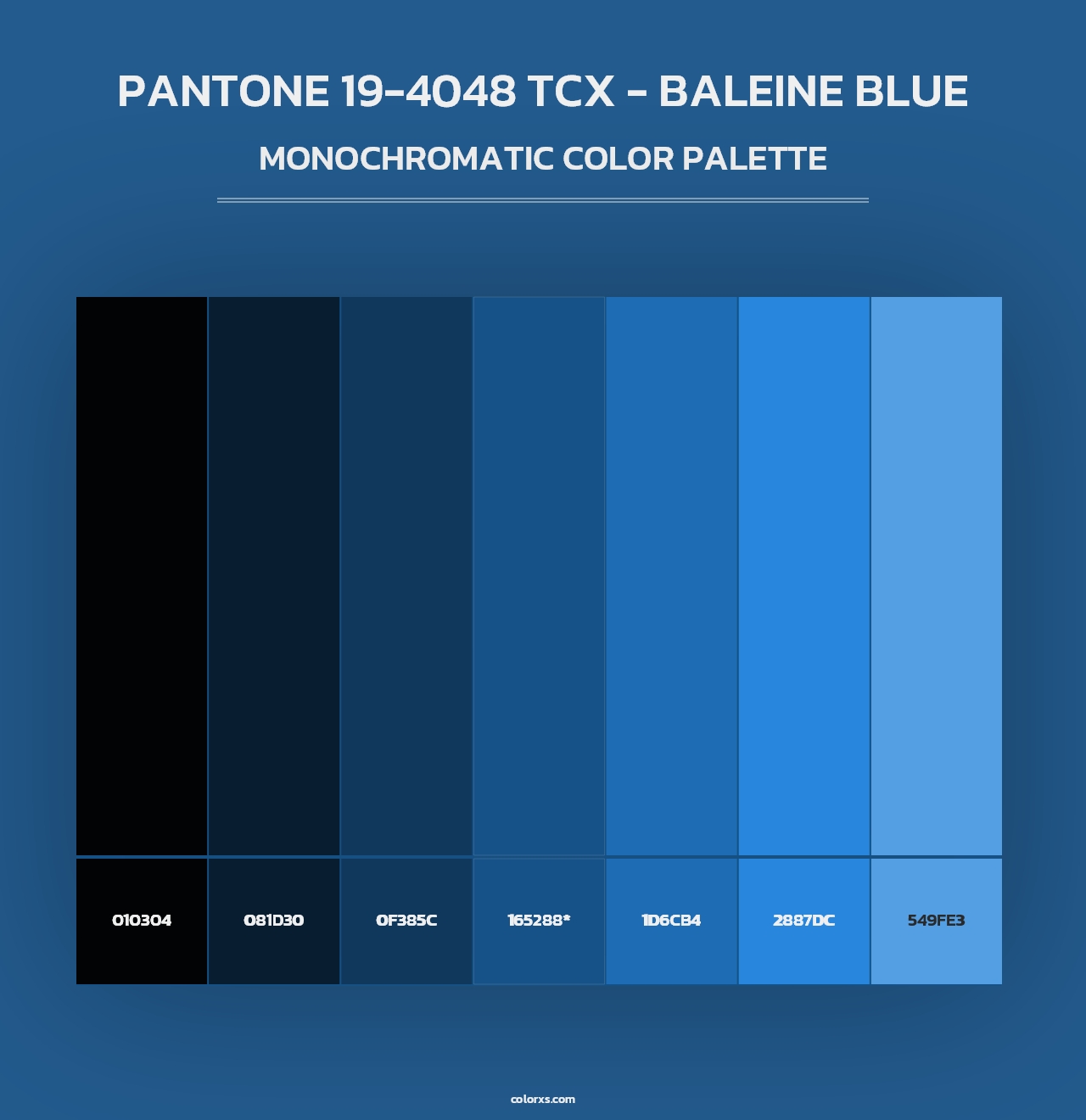 PANTONE 19-4048 TCX - Baleine Blue - Monochromatic Color Palette
