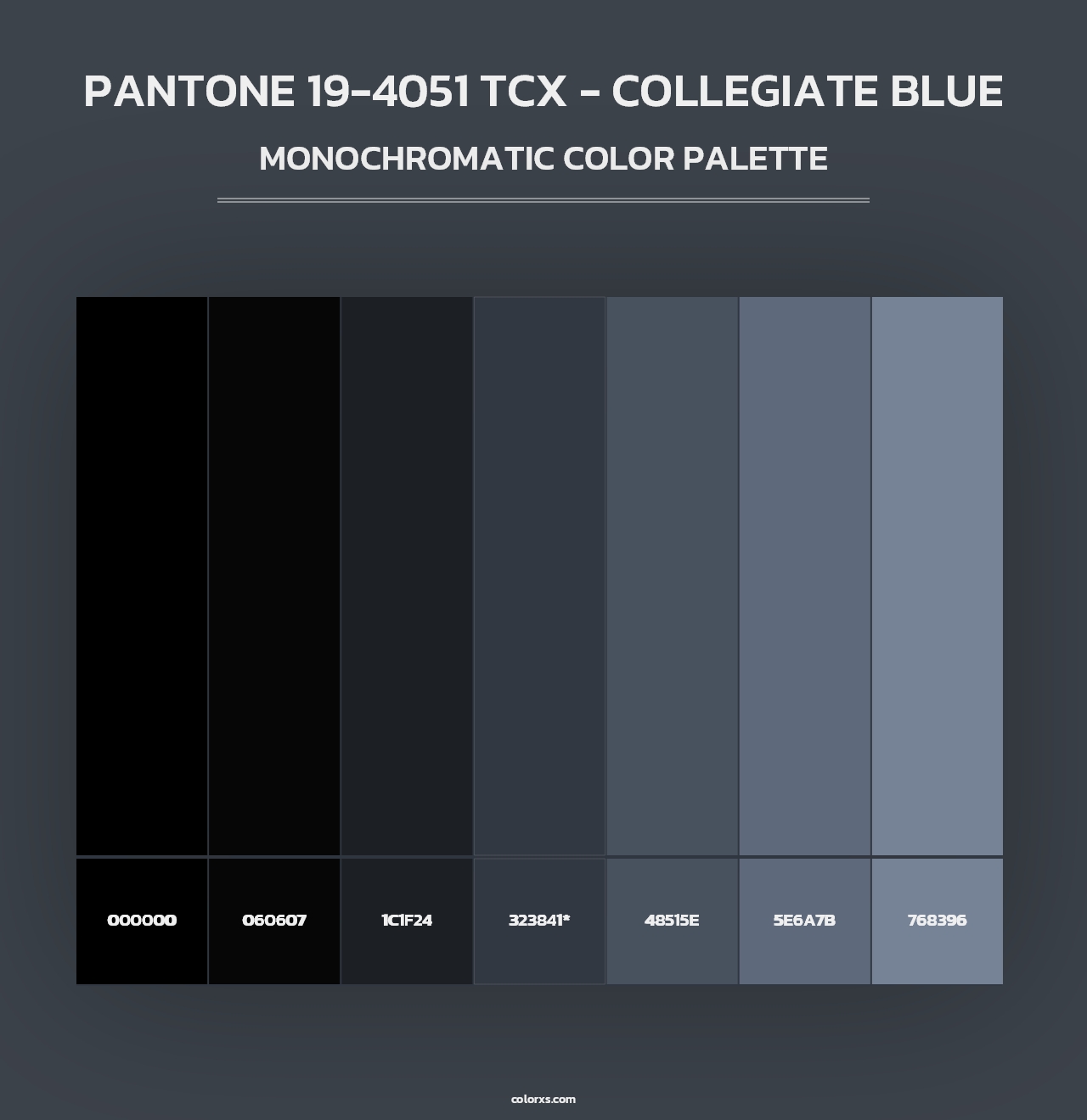 PANTONE 19-4051 TCX - Collegiate Blue - Monochromatic Color Palette