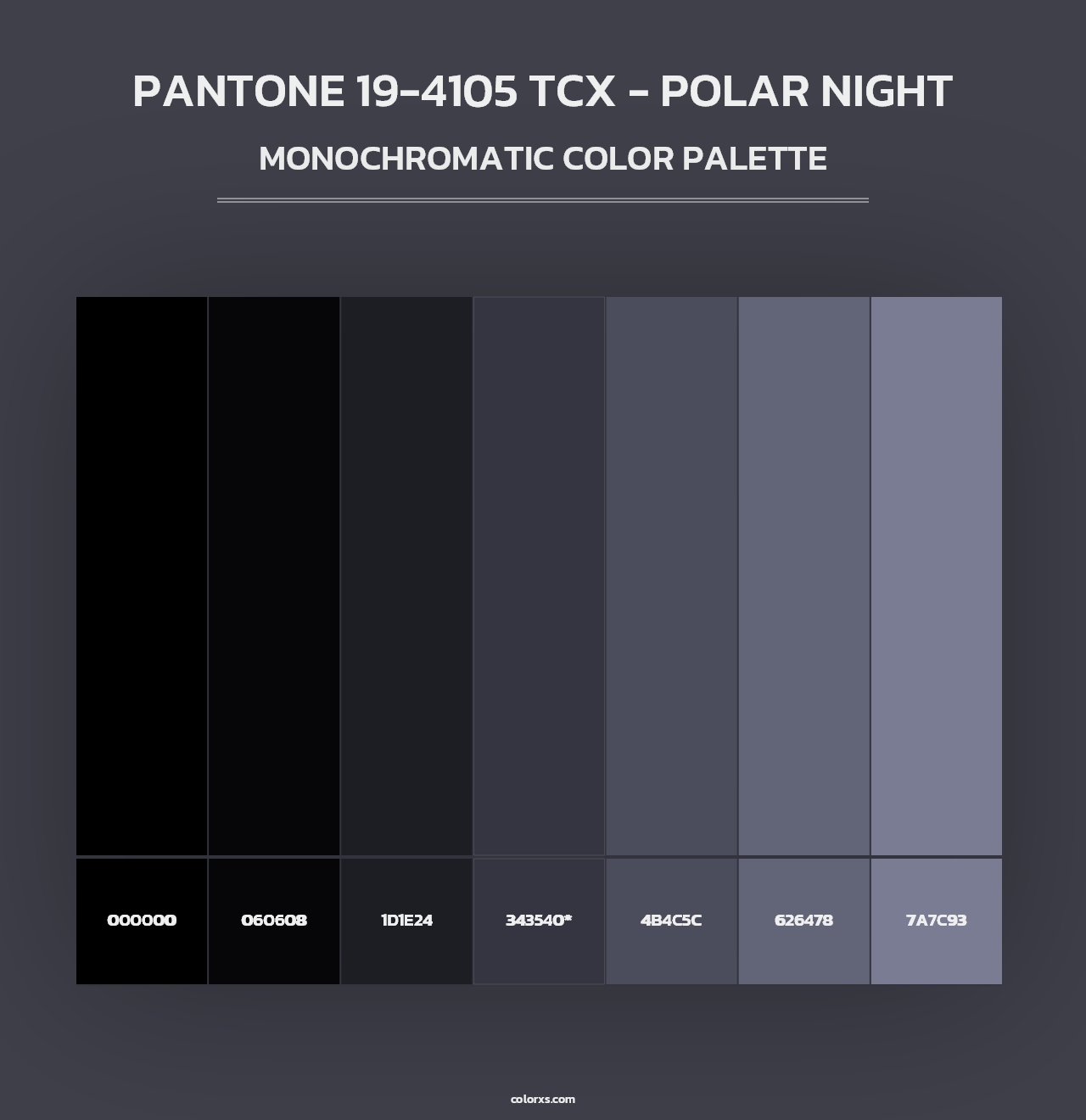 PANTONE 19-4105 TCX - Polar Night - Monochromatic Color Palette
