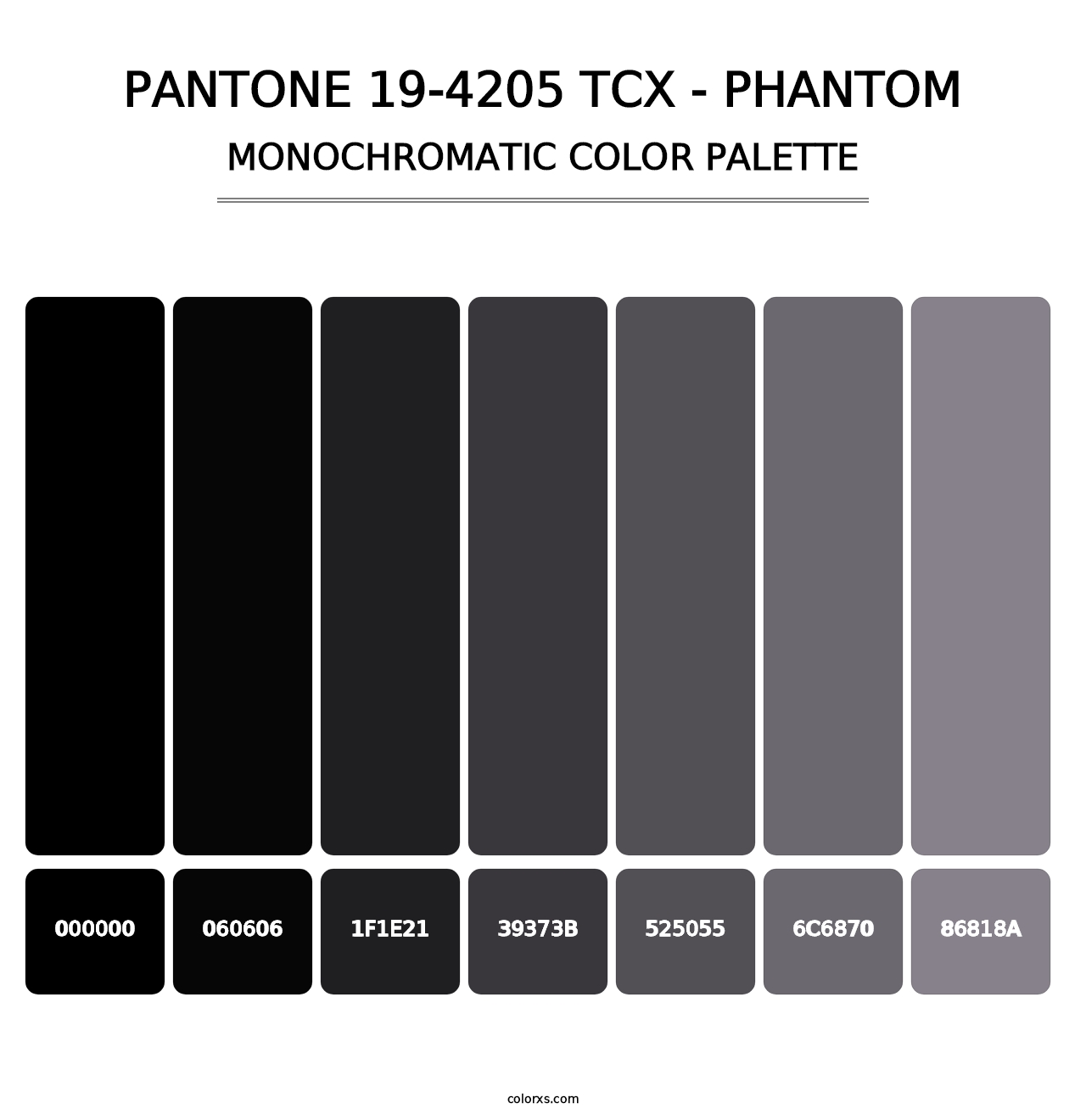 PANTONE 19-4205 TCX - Phantom - Monochromatic Color Palette