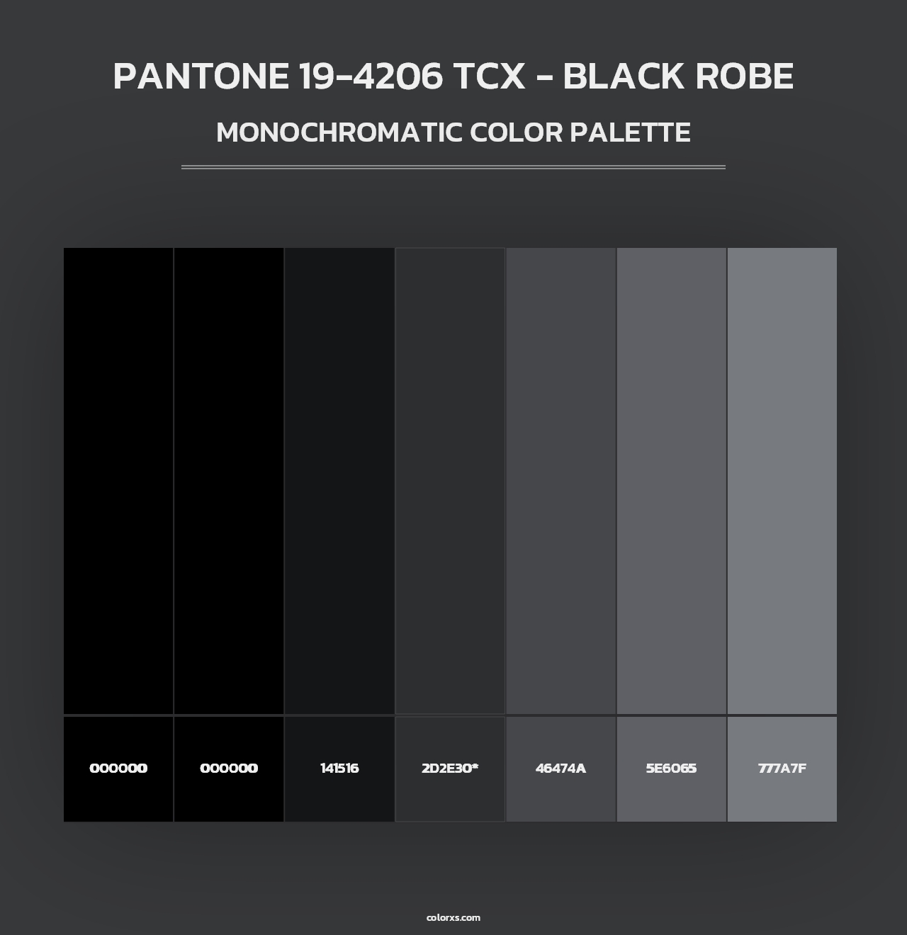 PANTONE 19-4206 TCX - Black Robe - Monochromatic Color Palette