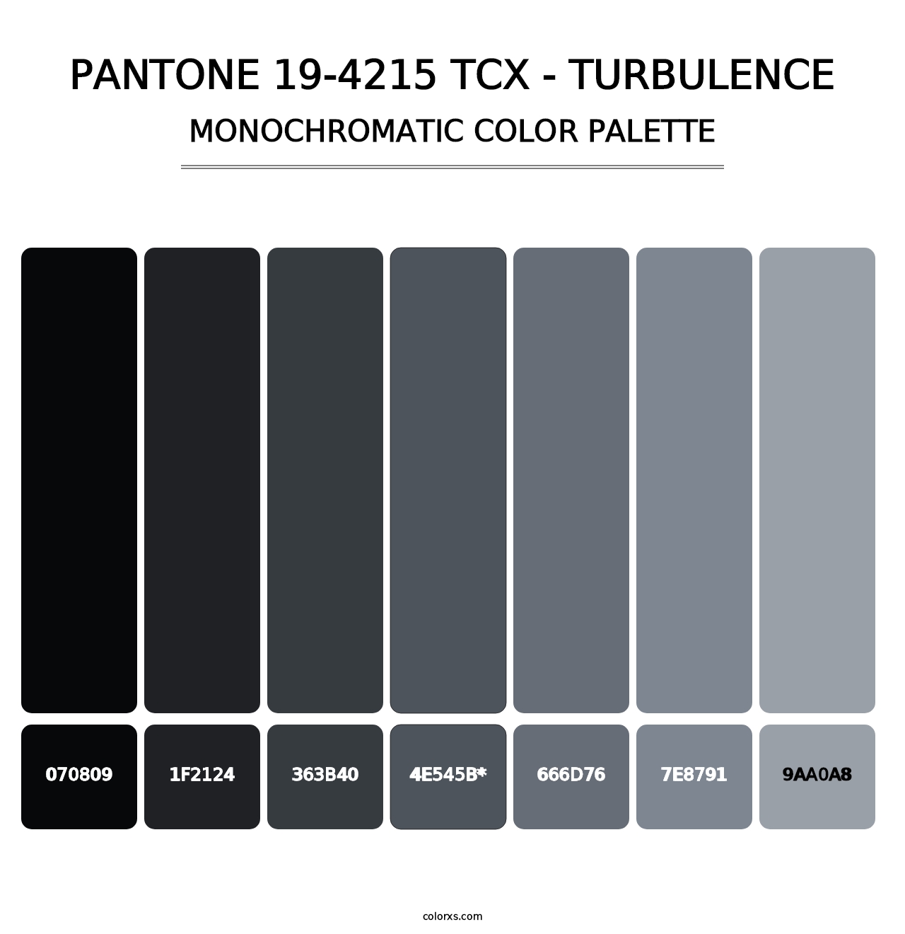 PANTONE 19-4215 TCX - Turbulence - Monochromatic Color Palette
