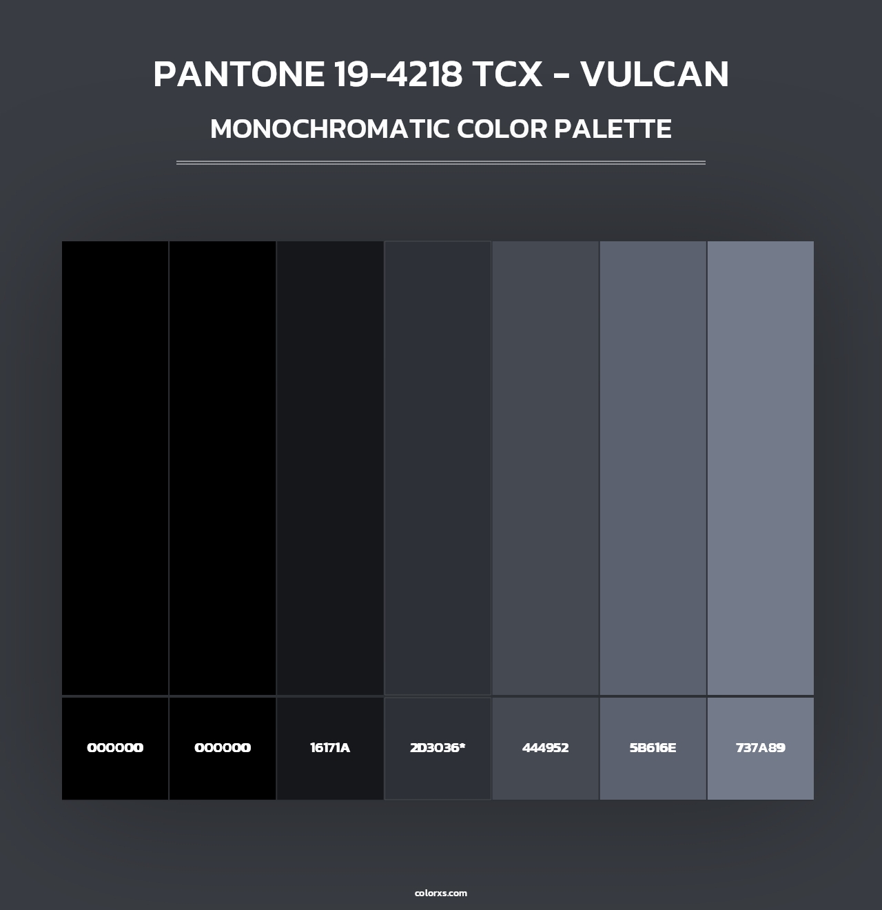 PANTONE 19-4218 TCX - Vulcan - Monochromatic Color Palette