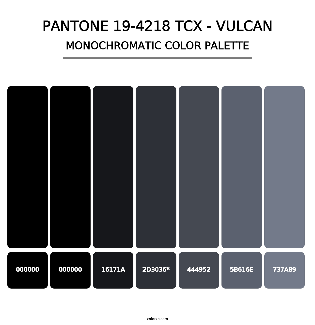 PANTONE 19-4218 TCX - Vulcan - Monochromatic Color Palette