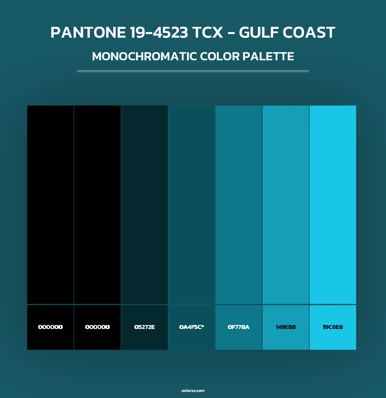 PANTONE 19-4523 TCX - Gulf Coast - Monochromatic Color Palette