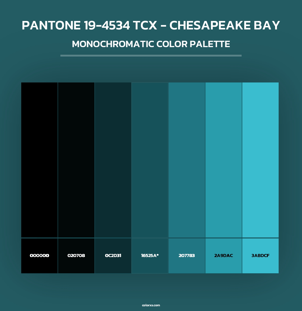 PANTONE 19-4534 TCX - Chesapeake Bay - Monochromatic Color Palette